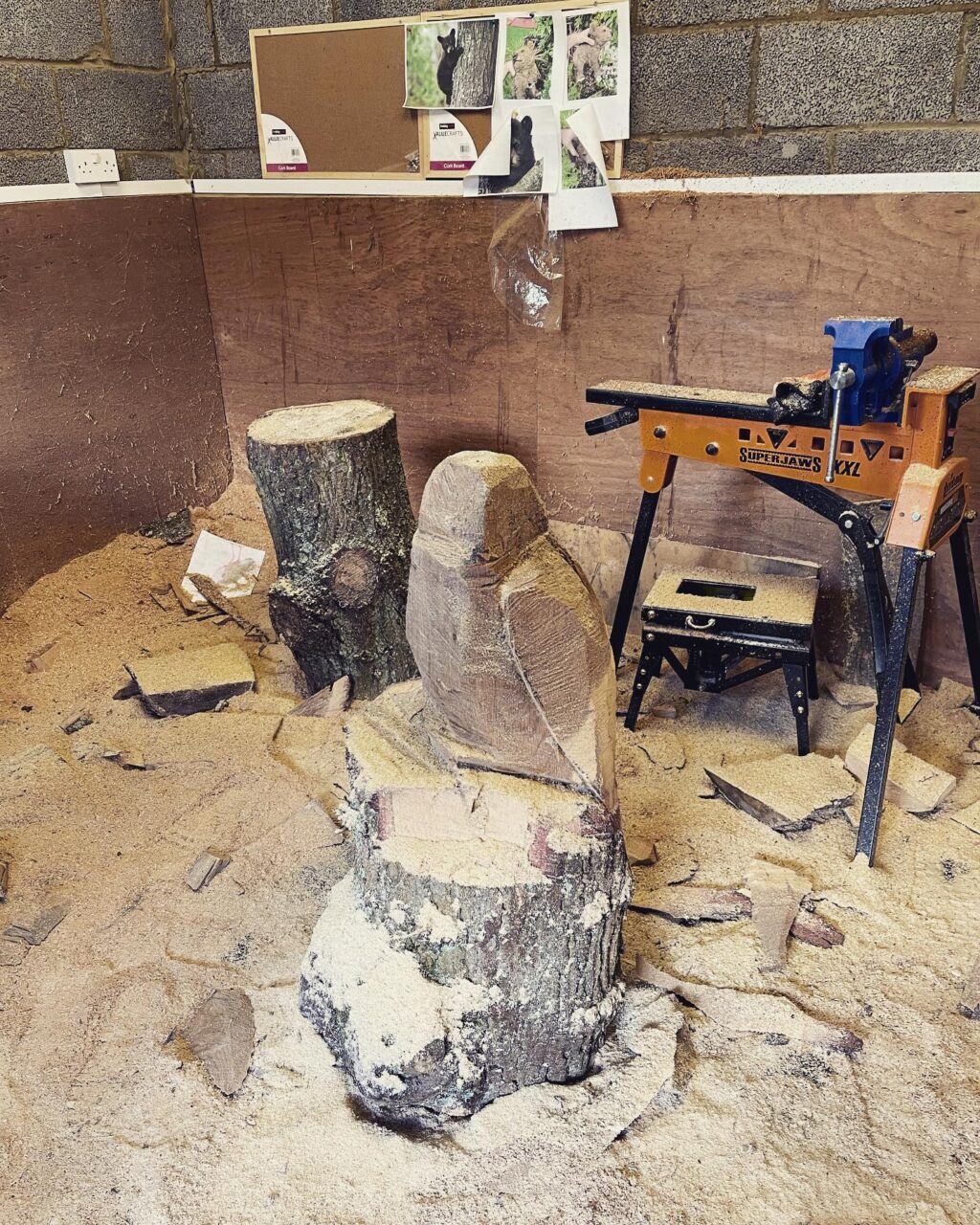 Instagram post from carvings_by_brett. This post is in position 1.
