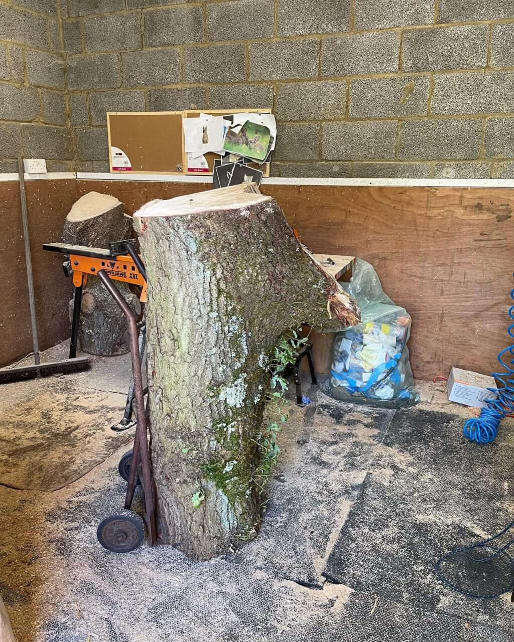 Instagram post from carvings_by_brett. This post is in position 4.